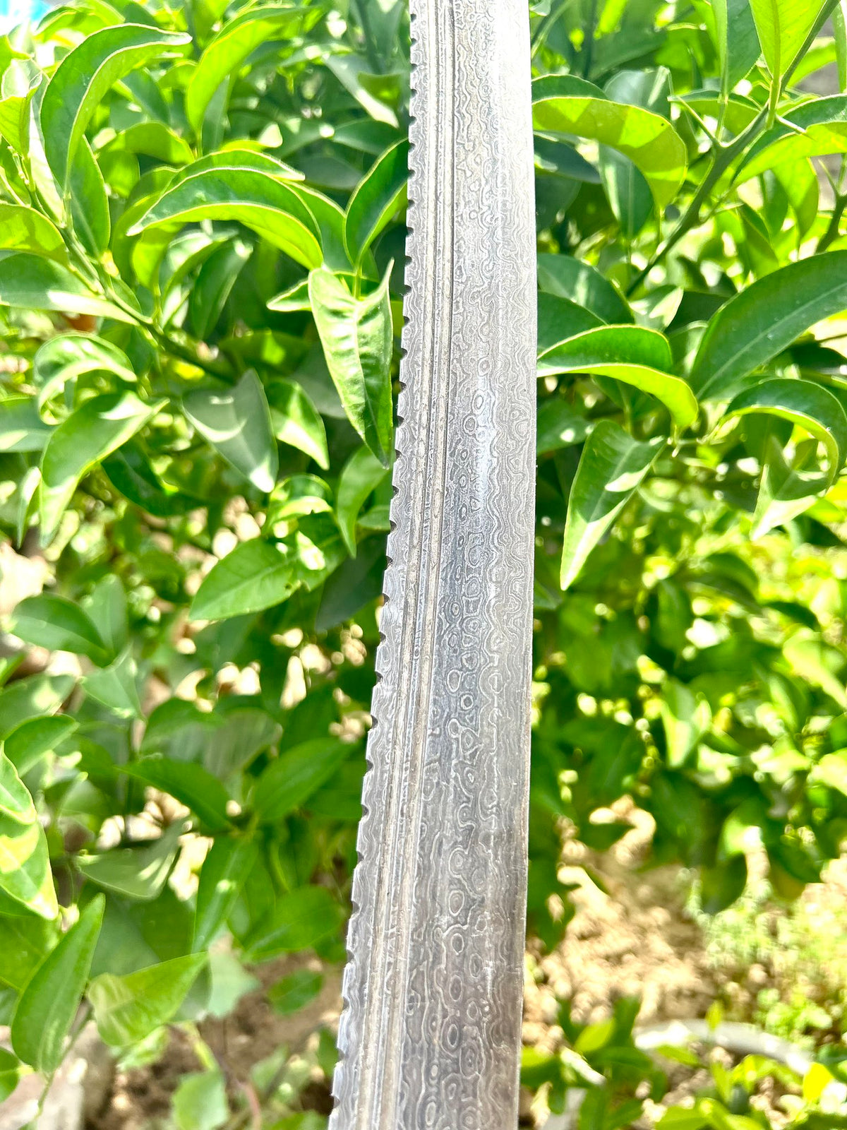 Damascus Blade Tegh with Leather Sheathed Scabbard