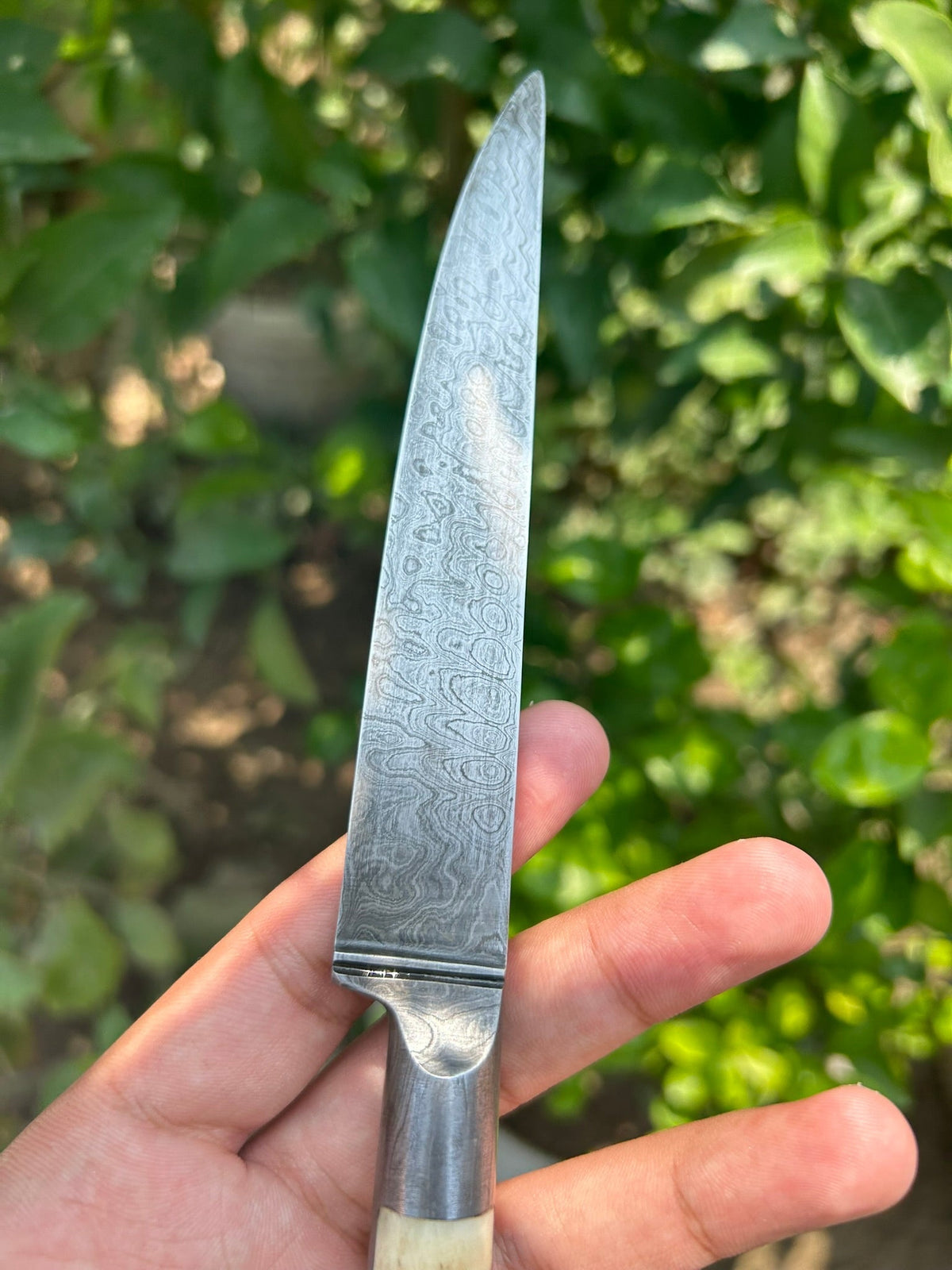 Small Damascus Kard